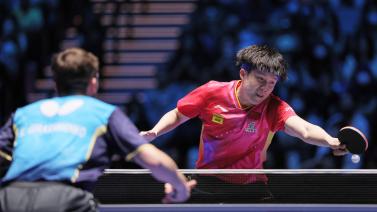 数体育迷的 数体育迷的