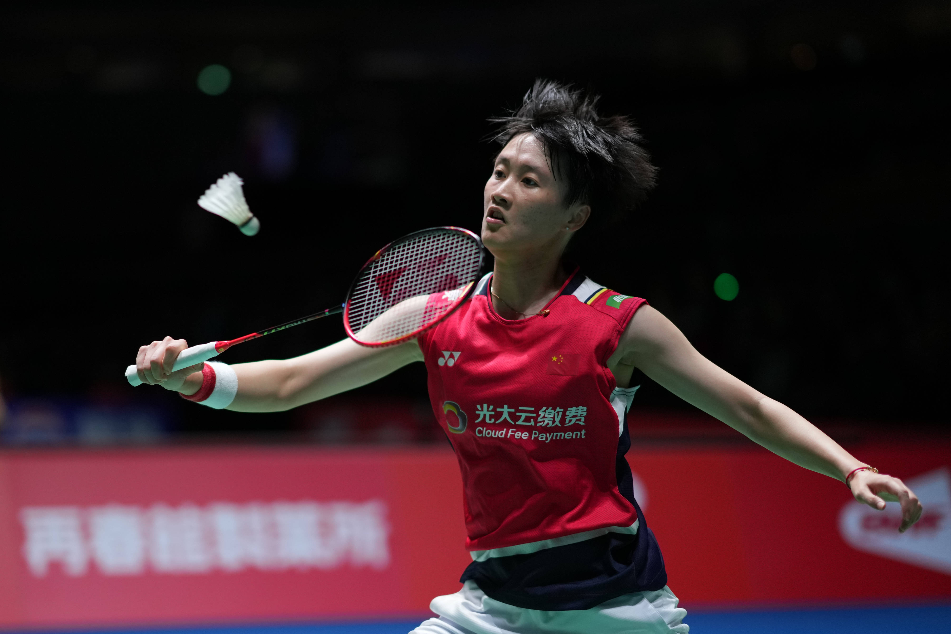 镰田大地的 镰田大地的